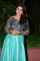 Nikki Galrani Photo Gallery